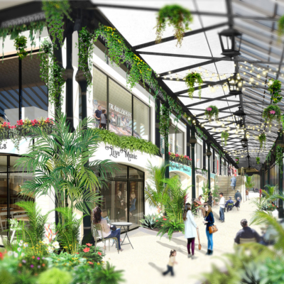 Decarbonising strategy, sustainability wellbeing and biophilic design